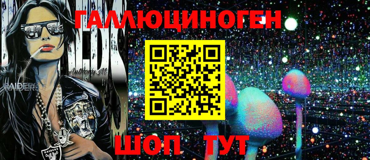 Псилоцибиновые грибы Psilocybe  Галлюциногенные грибы ЛСД  Баксан  Вход с VPN 