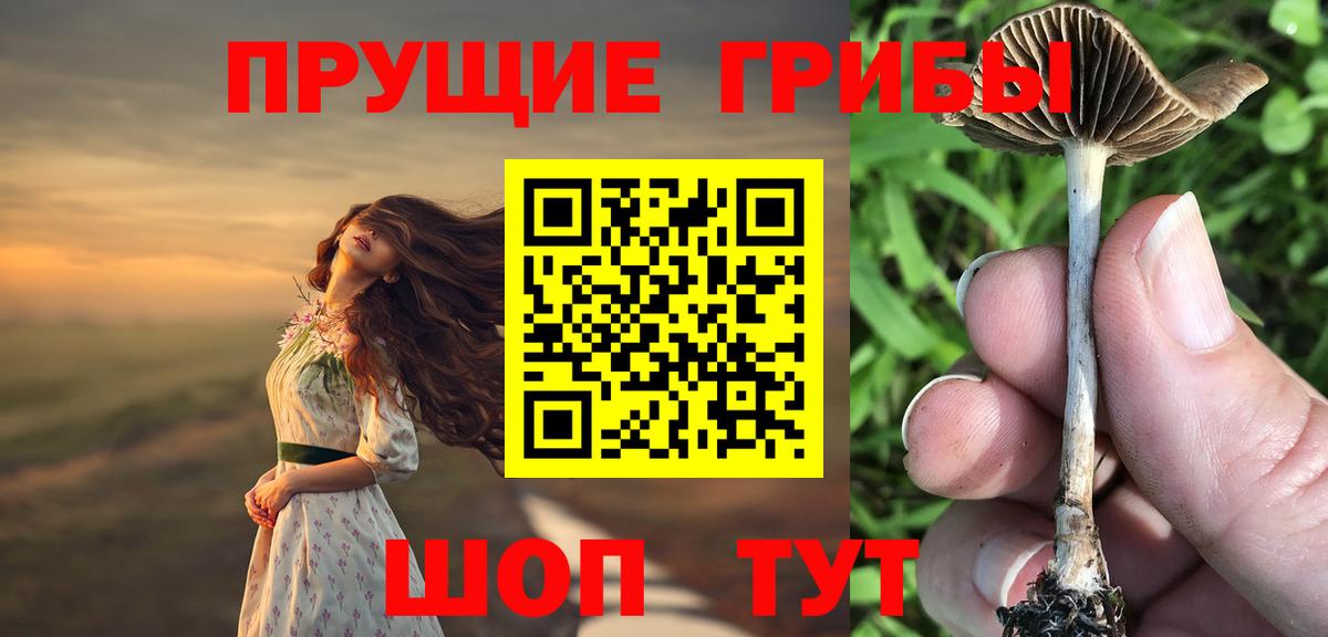 Псилоцибиновые грибы Psilocybine cubensis Баксан